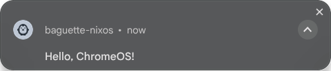 A notification sent from NixOS and display in ChromeOS